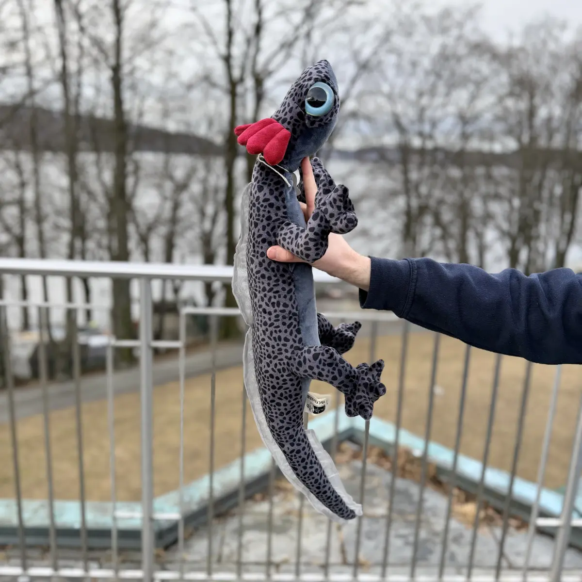 Axolotl bamse svart 82 cm holdt opp vertikalt utendørs, viser den imponerende lengden