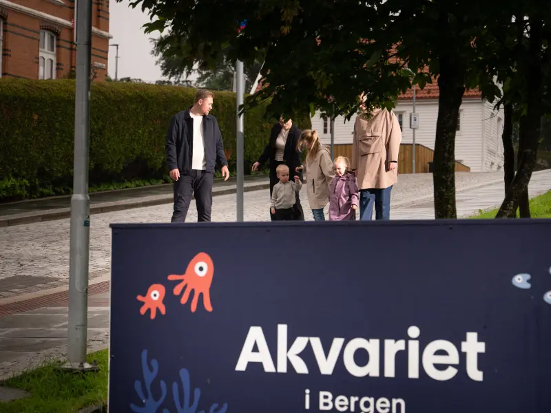 Aktiviteter i Bergen