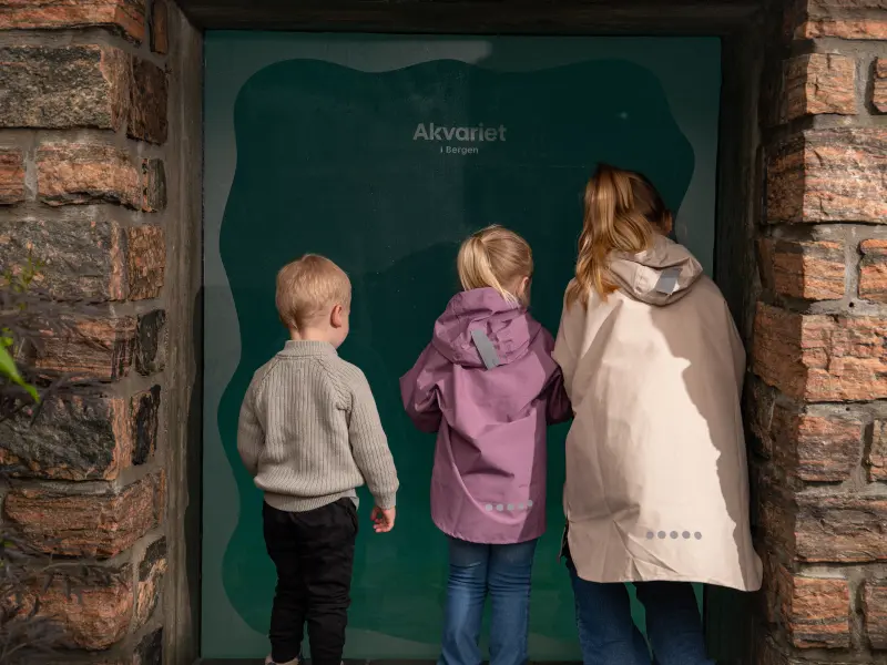 Høstferie i Bergen? Dykk inn i høstferien på Akvariet!