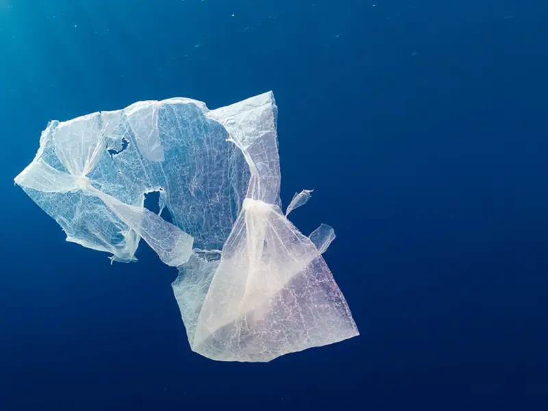 An ocean of garbage