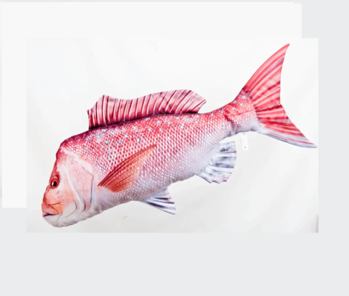 Fiskebamse Snappere (piggfinnefisk)