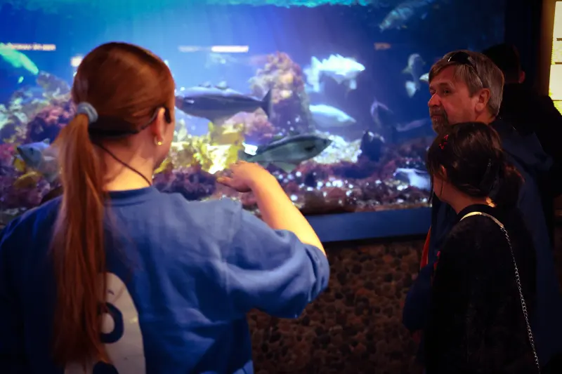 Fiskesnakk i Rotunden