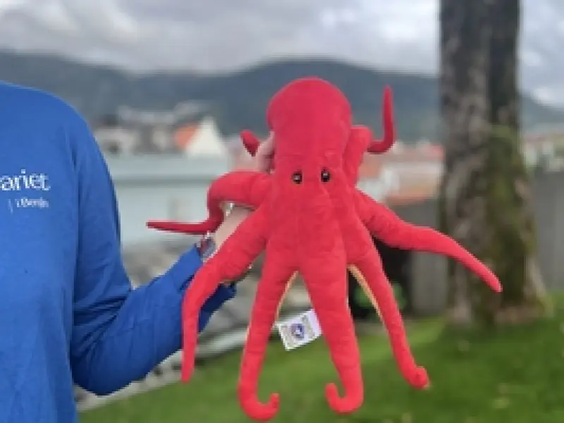Praktisk informasjon