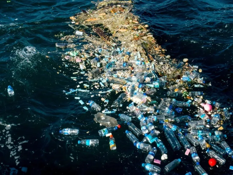 “Et hav av plast”