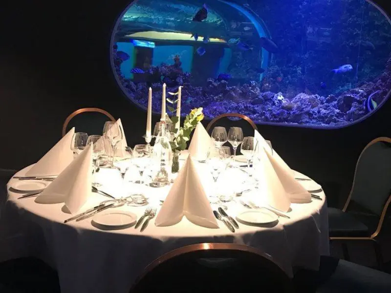 Tunnelen med tropisk fisk