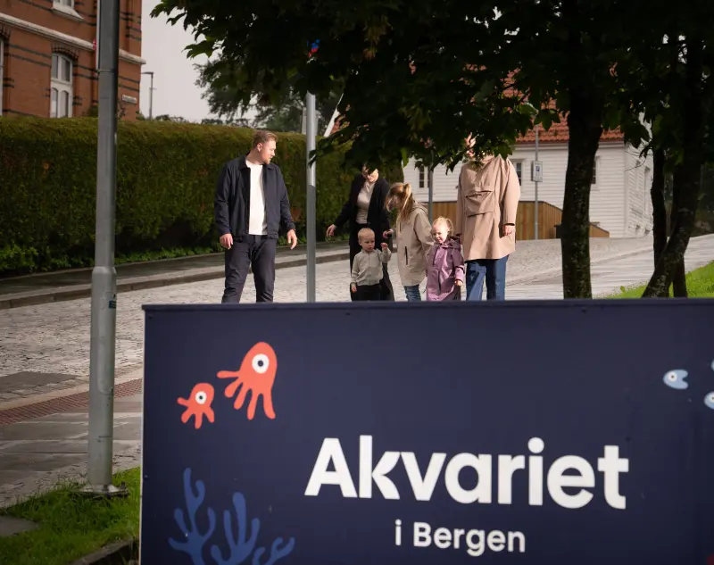 Aktiviteter i Bergen