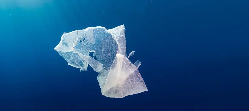 An ocean of garbage