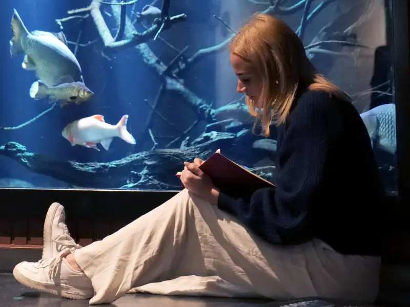 Student og ønsker en pause?